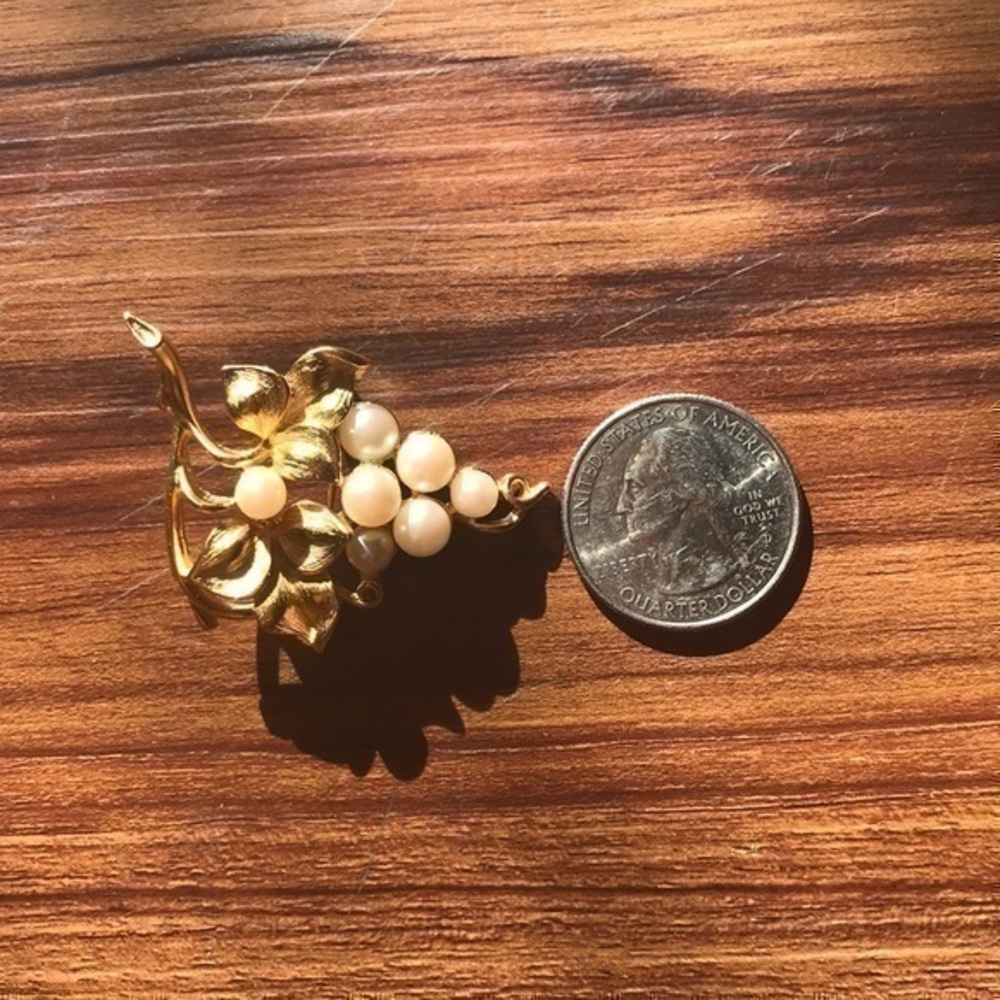 Grape beautiful pin.
